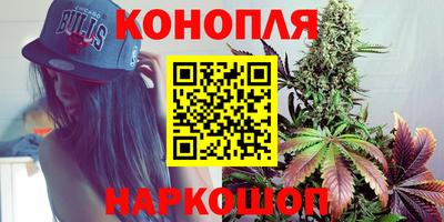 сатива Тара