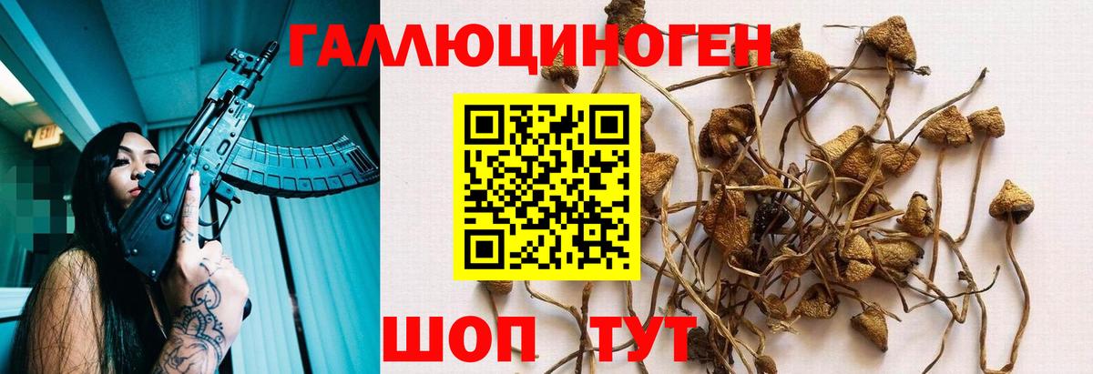 Галлюциногенные грибы мицелий Курск